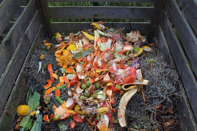Stages of Compost